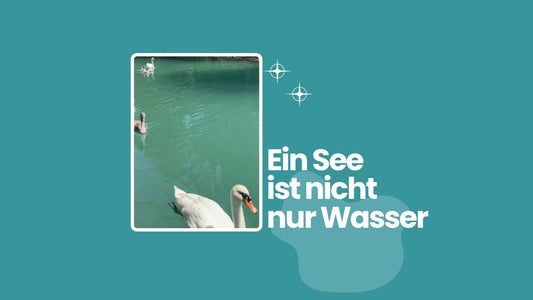 Genieße den See neu – mit dem SUPglider und offenen Augen für die Natur