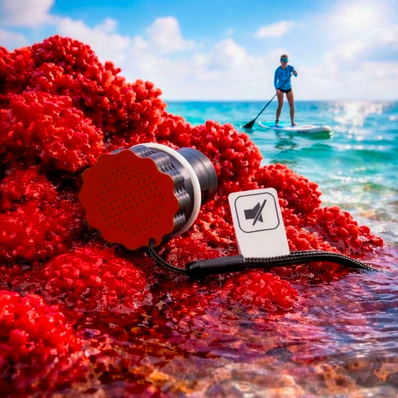 hot coral
